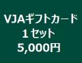 VJAギフトカード　１セット金額　5,000円